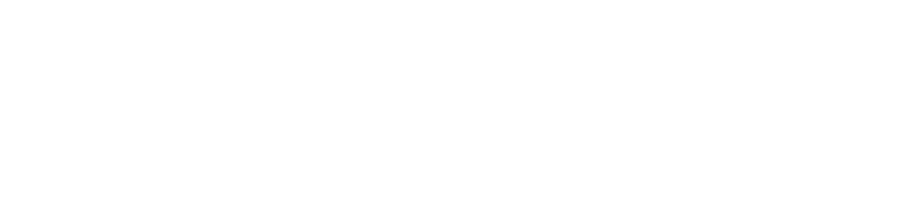 ConnecX logo